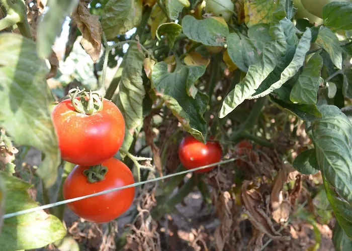 Apartman Casa Muraglia Studio/studio Under Castle